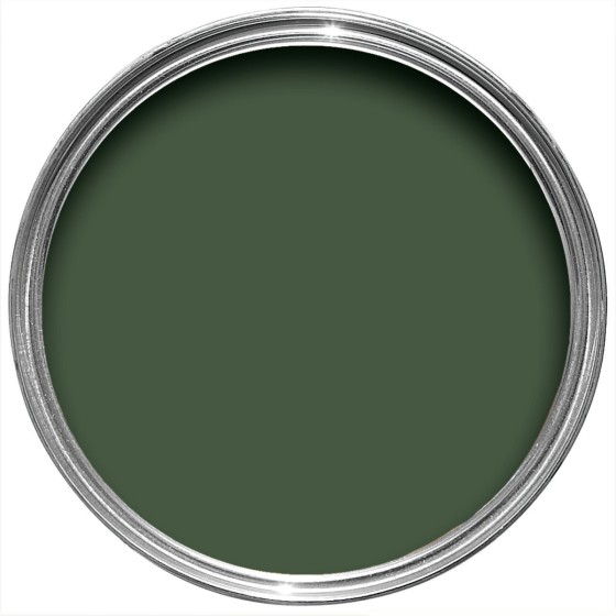 Farrow & Ball Paint 5L Flat Eggshell Duck Green No.W55